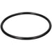 O-Ring 104,2 X 5,7 für Siphonglas mit Innen- und Außengewinde Produktabbildung