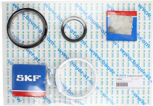 Rep. Set Dichtungen und Lager für Helix Drive 553 bis 1106 Produktabbildung